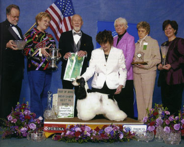 Ch. My-Ida-Ho N Jems Nabisco Show Photo